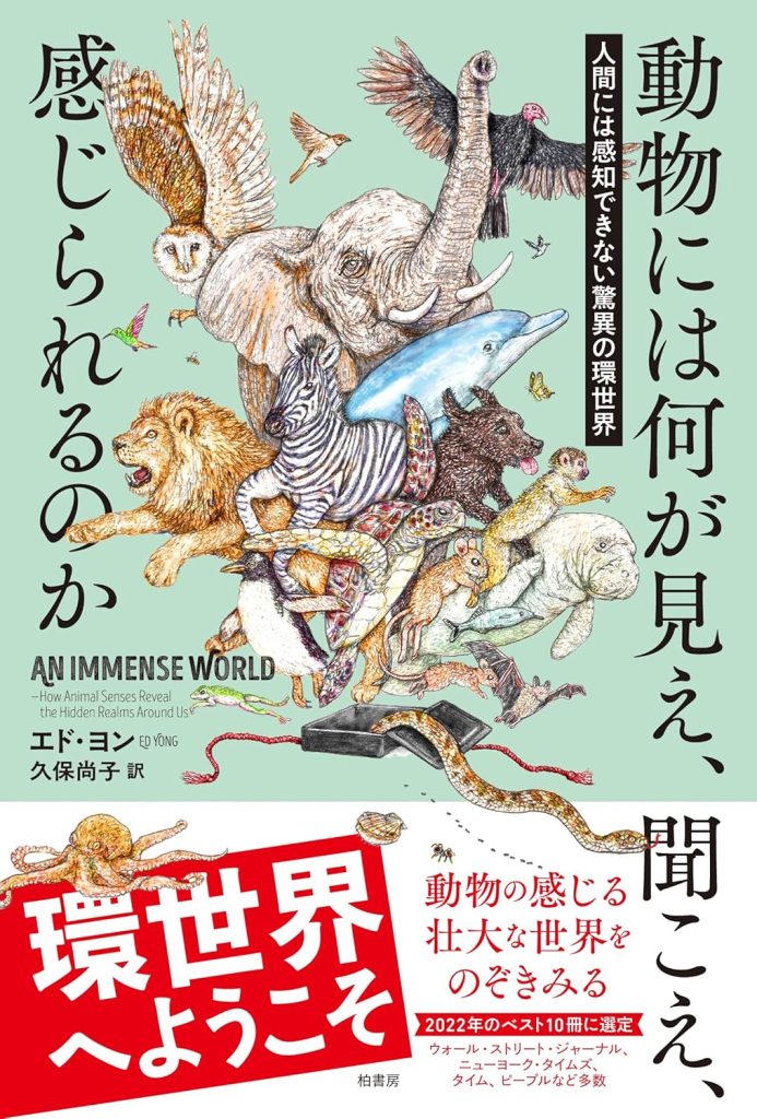 違う視点に立つことを旅という